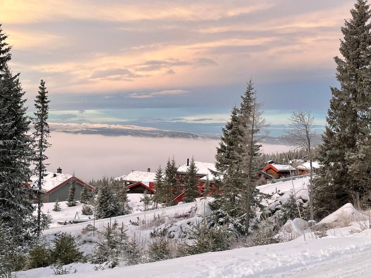 Ski And Bike-In And Out Гаф'єлль Екстер'єр фото