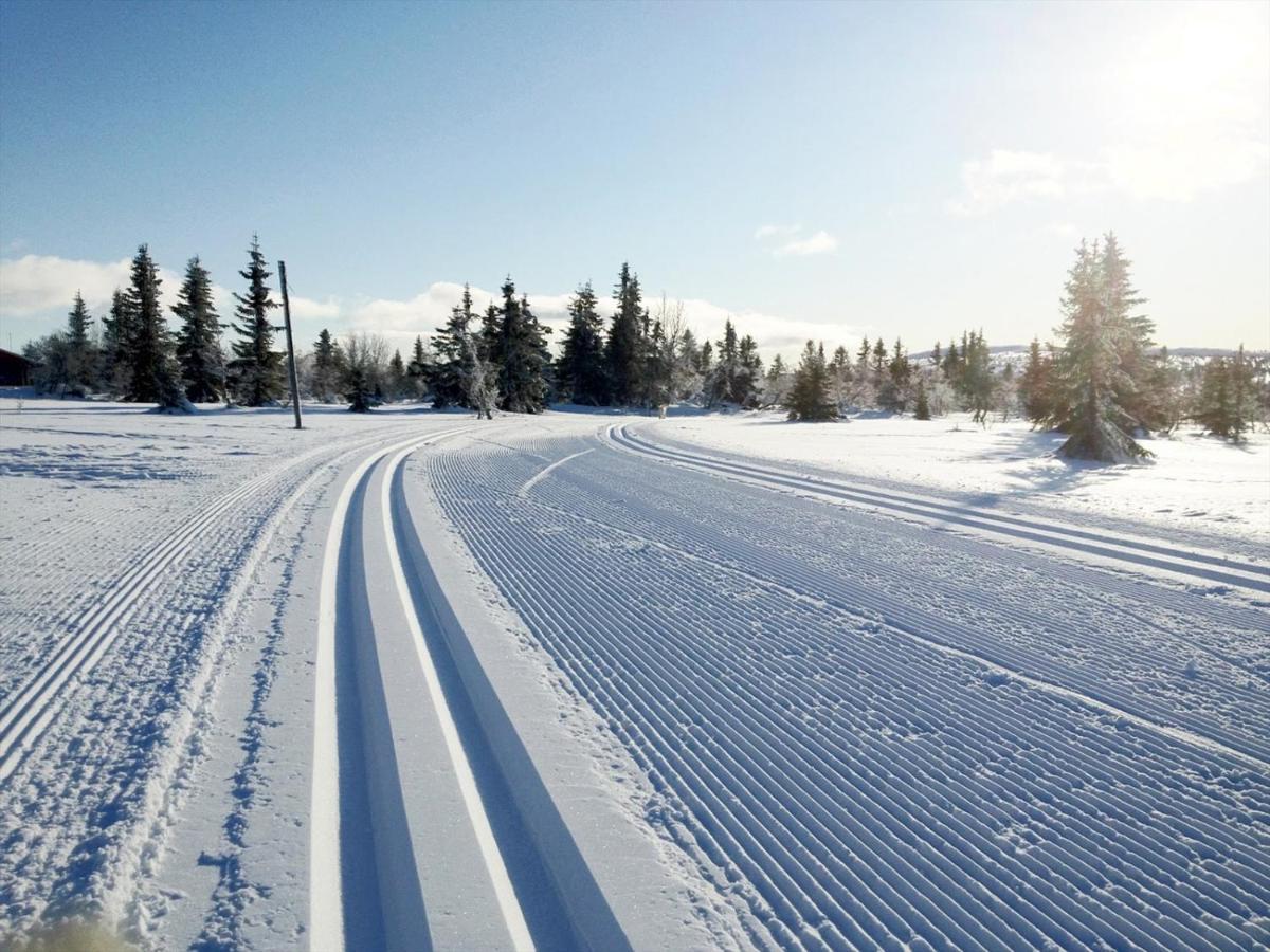 Ski And Bike-In And Out Гаф'єлль Екстер'єр фото